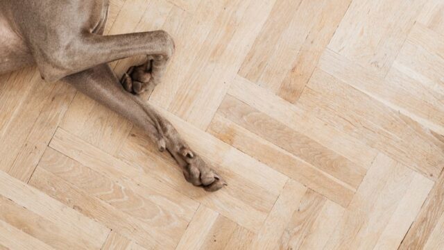 flooring stock image