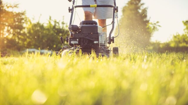 landscaping stock image