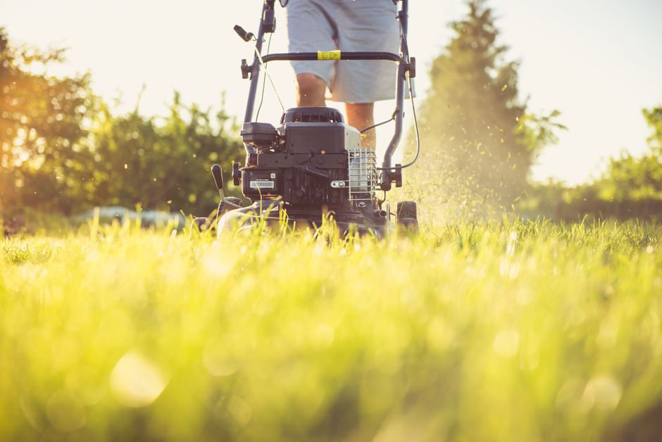 landscaping stock image