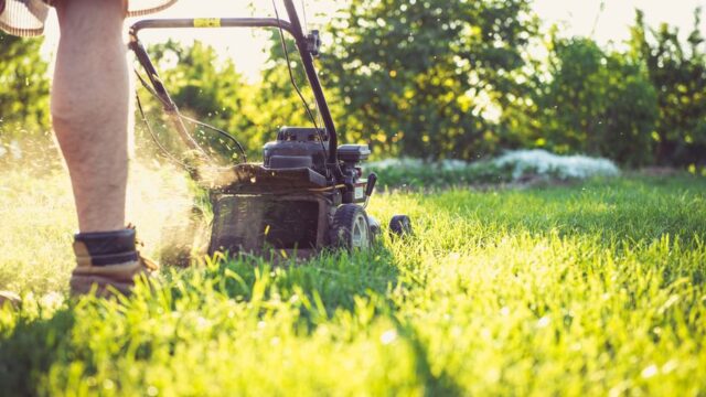 landscaping stock image