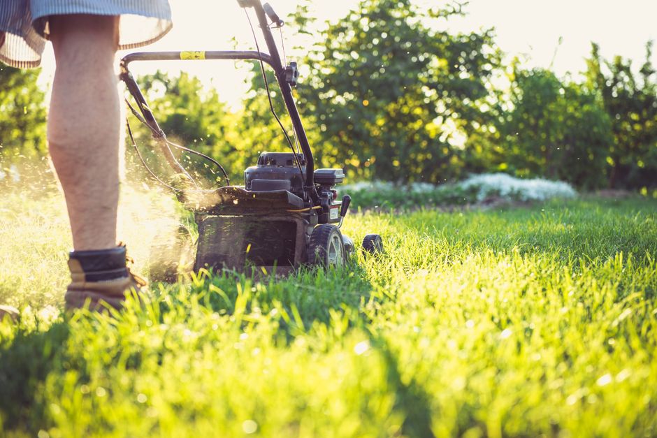 landscaping stock image
