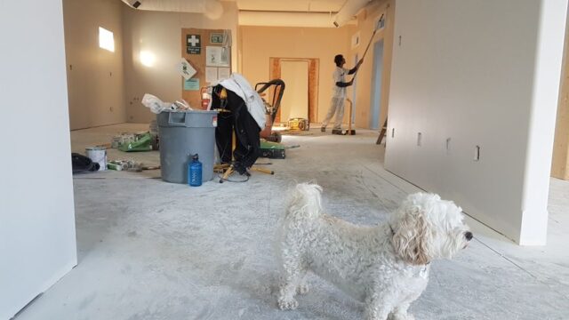 home-remodeling stock image