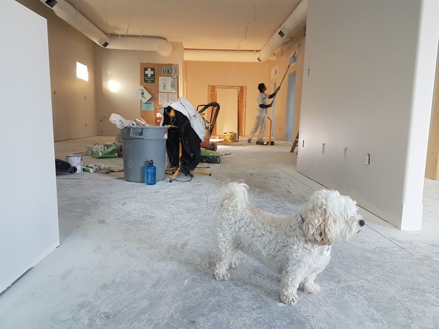 home-remodeling stock image