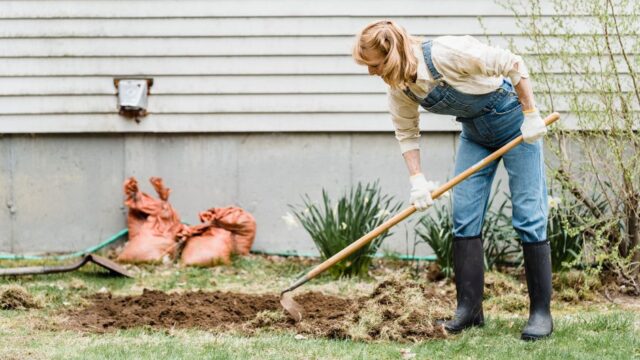 landscaping stock image