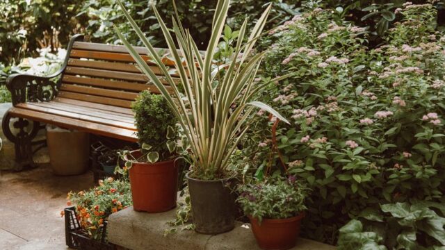 landscaping stock image