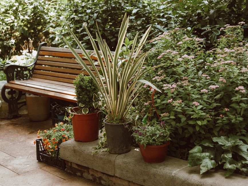 landscaping stock image