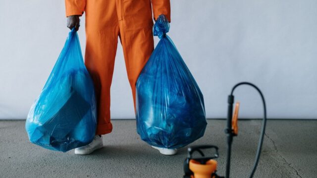 junk-removal stock image