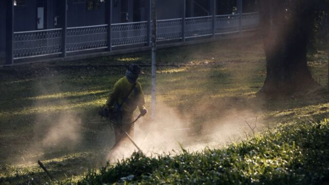 landscaping stock image