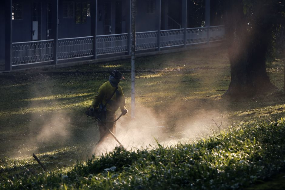 landscaping stock image