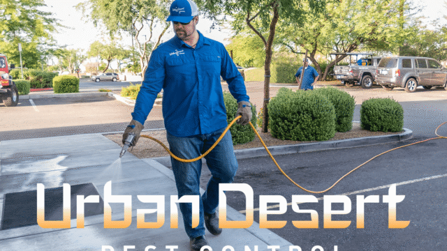 Urban Desert Pest Control – photo