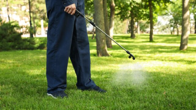 Lizard Lick Pest Control – photo
