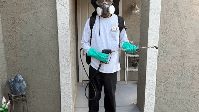 LMS Pest Solutions – photo